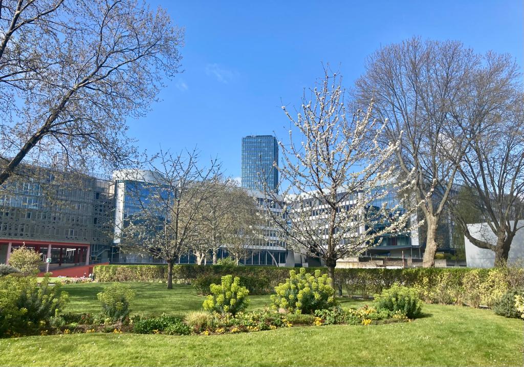 jussieu